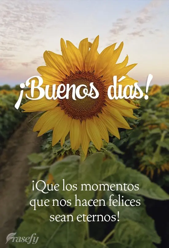 ¡Que los momentos que nos hacen felices sean eternos! ¡Buenos días!