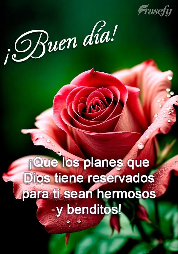 ¡Que los planes que Dios tiene reservados para ti sean hermosos y benditos! ¡Buen día!