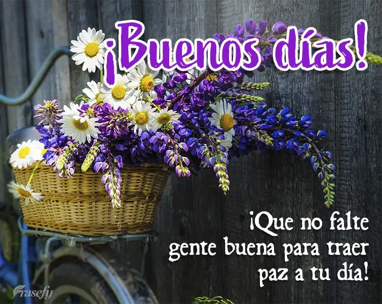 ¡Que no falte gente buena para traer paz a tu día! ¡Buenos días!