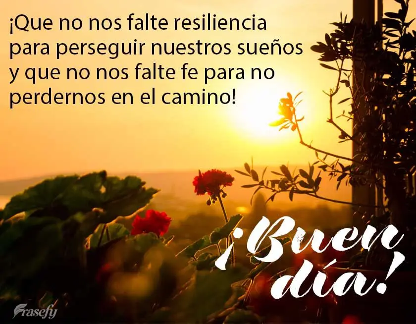 ¡Que no nos falte resiliencia para perseguir nuestros sueños y que no nos falte fe para no perdernos en el camino! ¡Buen día!