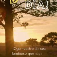 ¡Que nuestro día sea luminoso, que haya muchas alegrías, que hagan nuestra vida más feliz y plena! ¡Buen día!
