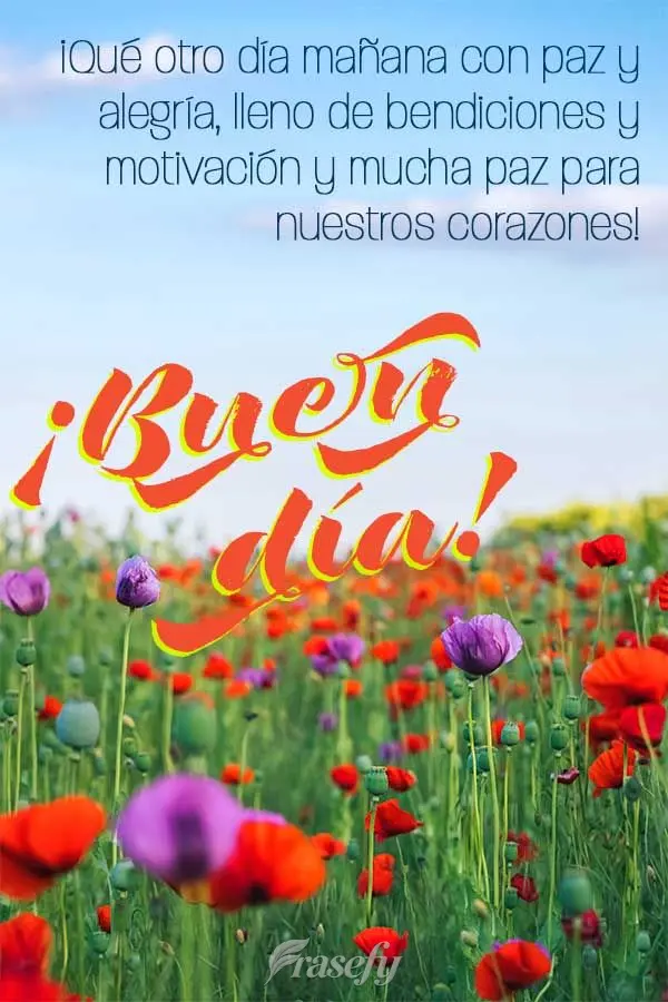 ¡Qué otro día mañana con paz y alegría, lleno de bendiciones y motivación y mucha paz para nuestros corazones! ¡Buen día!