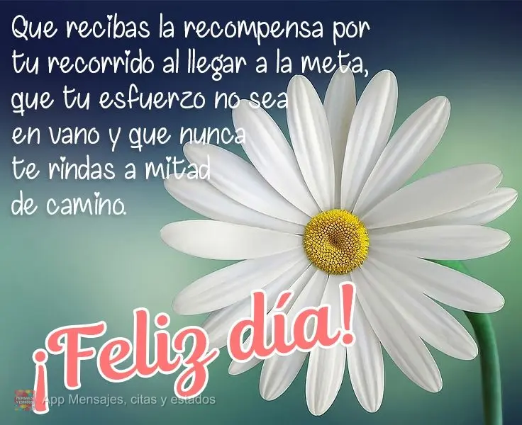 Que recibas la recompensa por tu recorrido al llegar a la meta, que tu esfuerzo no sea en vano y que nunca te rindas a mitad de camino. ¡Feliz día!