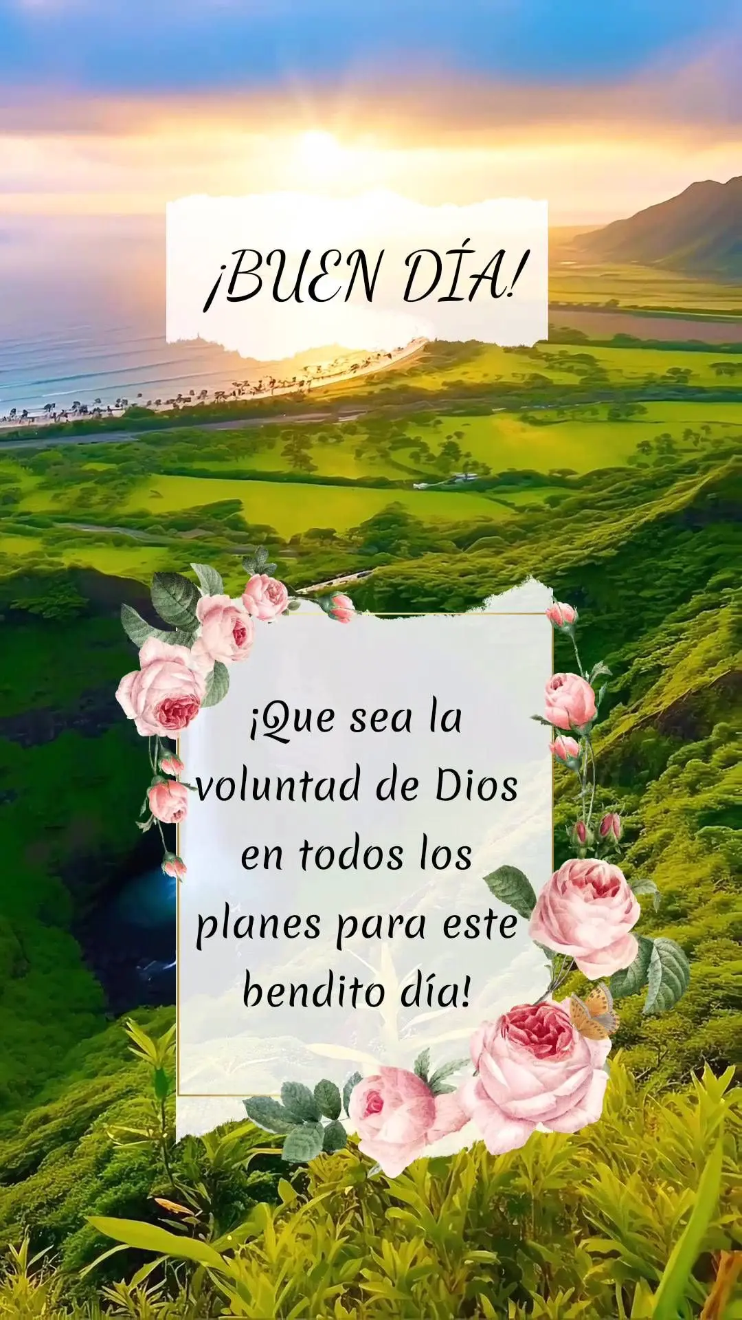 ¡Que sea la voluntad de Dios en todos los planes para este bendito día! ¡BUEN DÍA!