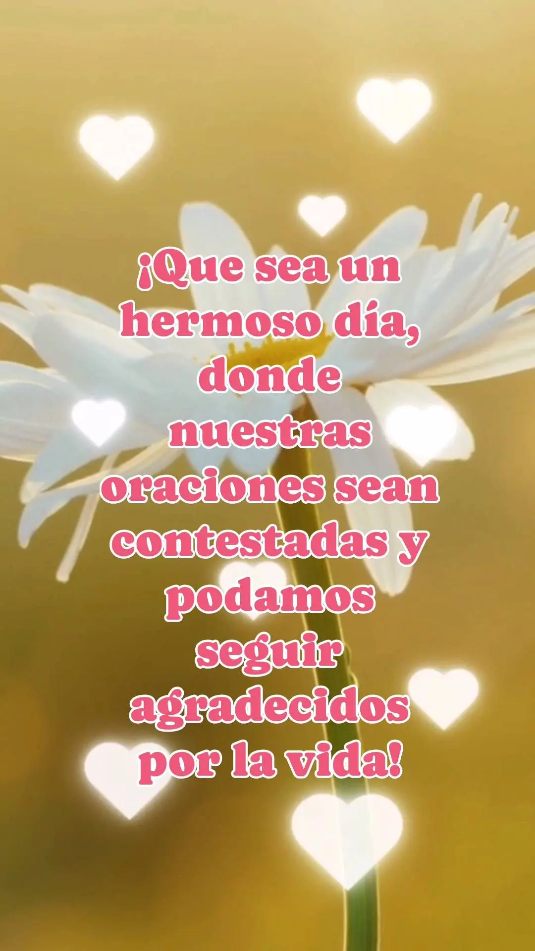 ¡Que sea un hermoso día, donde nuestras oraciones sean contestadas y podamos seguir agradecidos por la vida!