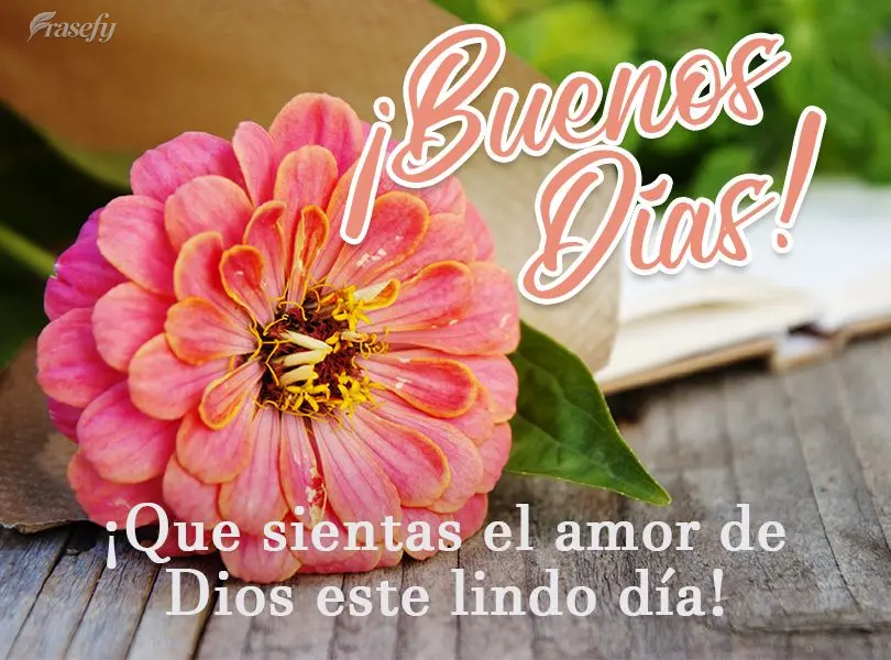 ¡Que sientas el amor de Dios este lindo día! ¡Buenos días!