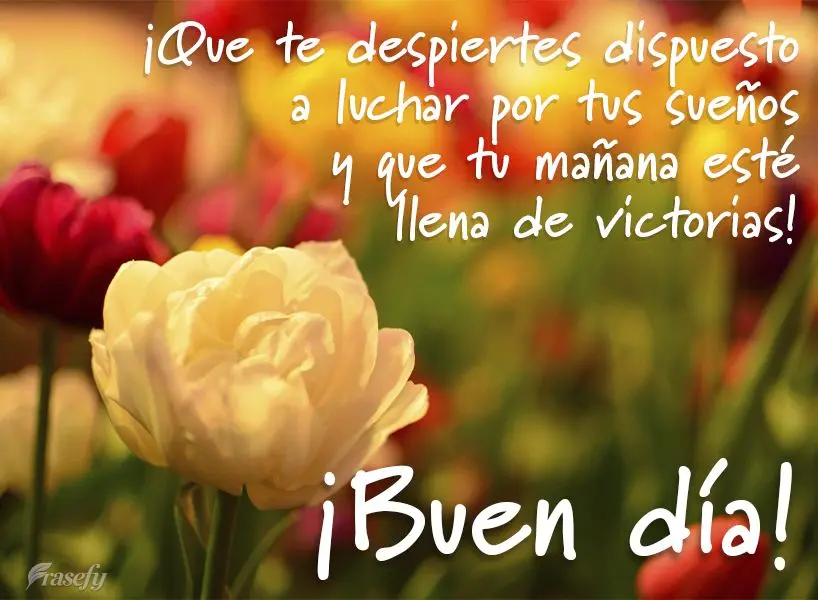 ¡Que te despiertes dispuesto a luchar por tus sueños y que tu mañana esté llena de victorias! ¡Buen día!