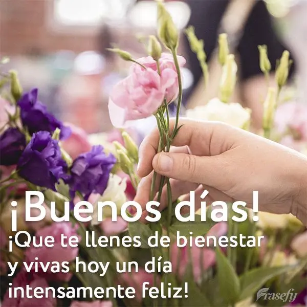 ¡Que te llenes de bienestar y vivas hoy un día intensamente feliz! ¡Buenos días!