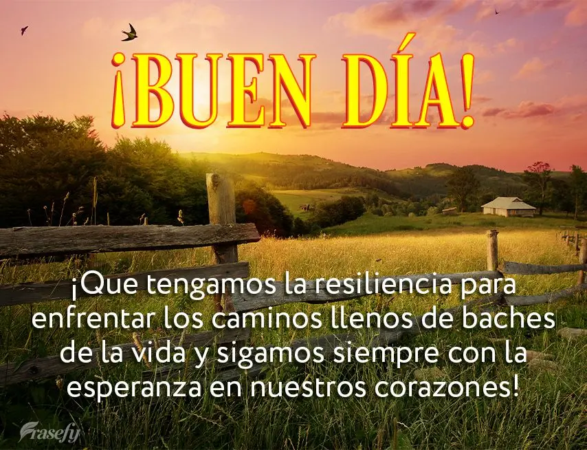 ¡Que tengamos la resiliencia para enfrentar los caminos llenos de baches de la vida y sigamos siempre con la esperanza en nuestros corazones! ¡Buen dí...