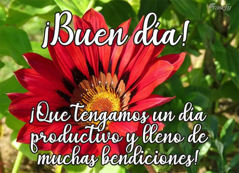 ¡Que tengamos un día productivo y lleno de muchas bendiciones! ¡Buen día!