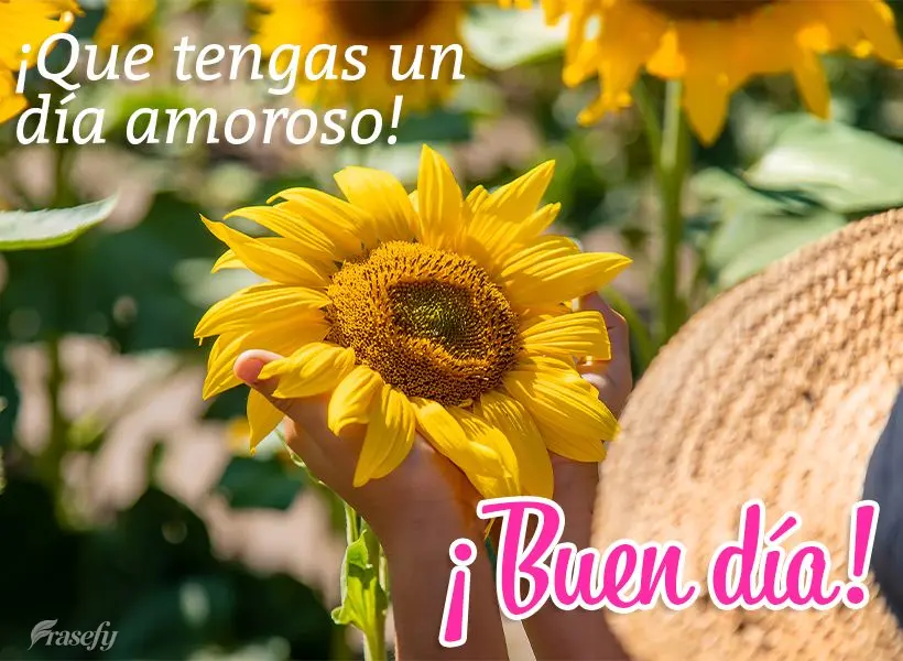 ¡Que tengas un día amoroso! ¡Buen día!