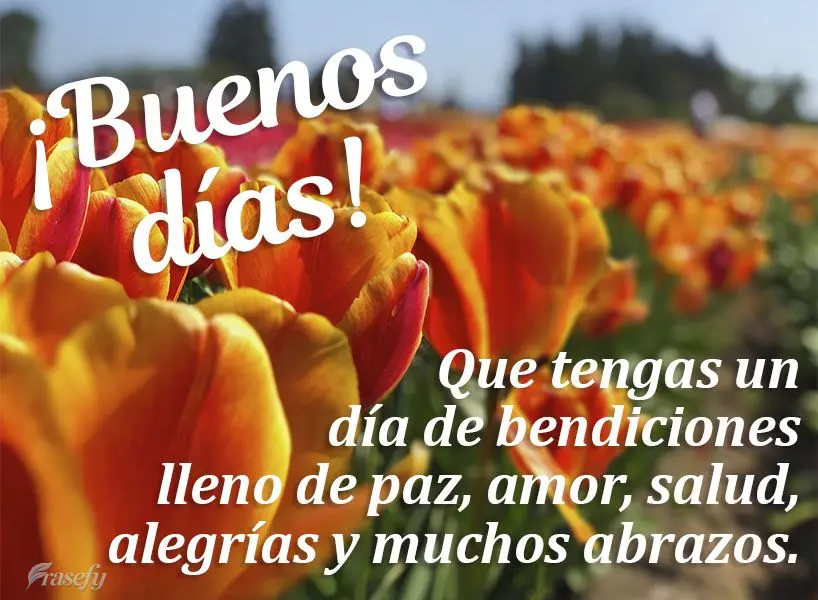 Que tengas un día de bendiciones lleno de paz, amor, salud, alegrías y muchos abrazos. ¡Buenos días!
