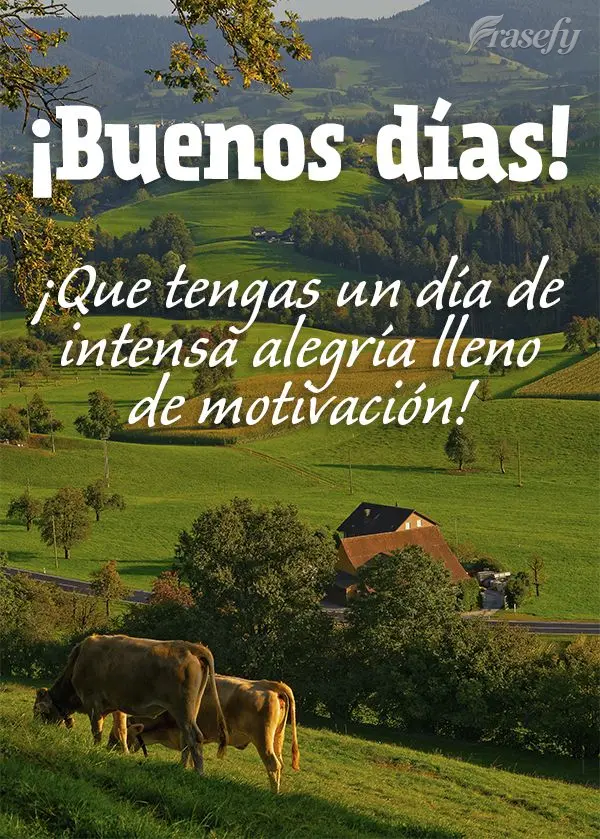 ¡Que tengas un día de intensa alegría lleno de motivación! ¡Buenos días!