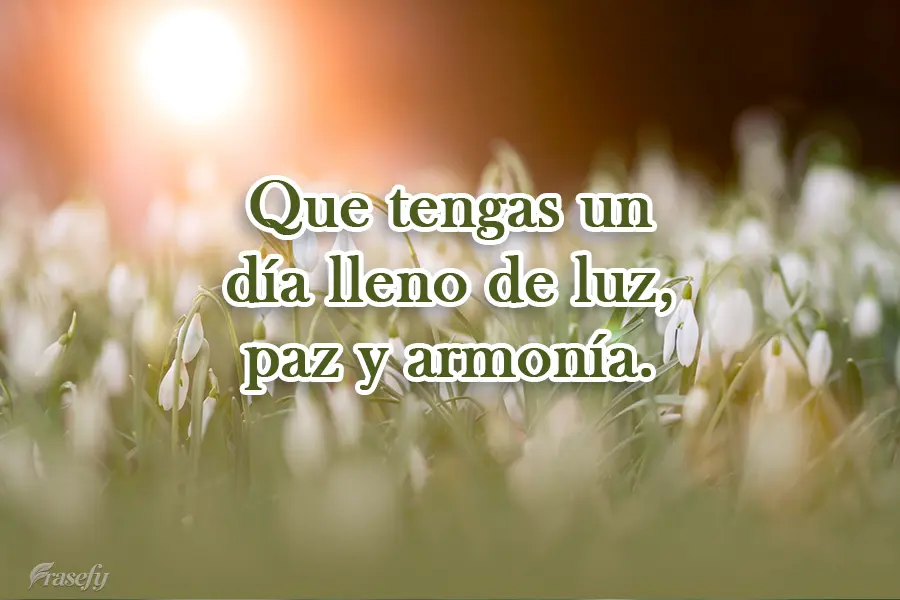 Que tengas un día lleno de luz, paz y armonía.