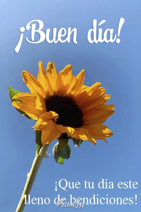 ¡Que tu día este lleno de bendiciones! ¡Buen día!