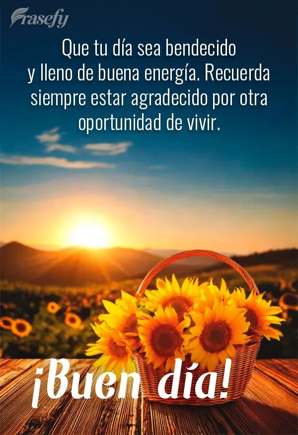 Que tu día sea bendecido y lleno de buena energía. Recuerda siempre estar agradecido por otra oportunidad de vivir. ¡Buen día!