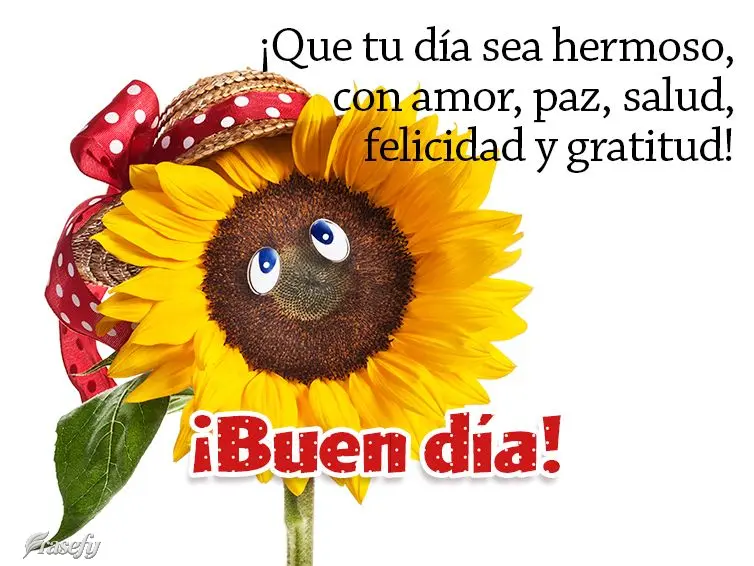 ¡Que tu día sea hermoso, con amor, paz, salud, felicidad y gratitud! ¡Buen día!