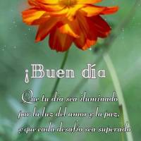 Que tu día sea iluminado por la luz del amor y la paz, y que cada desafío sea superado con fuerza y ​​determinación. ¡Buen día! 