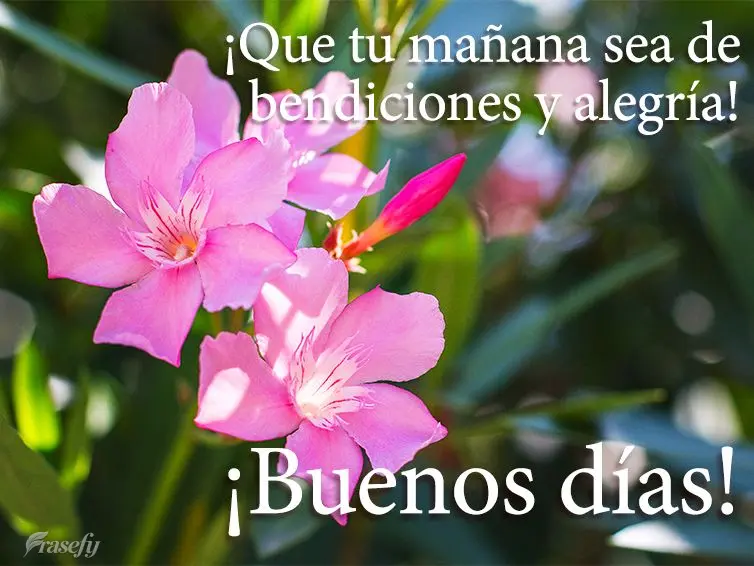 ¡Que tu mañana sea de bendiciones y alegría! ¡Buenos días!