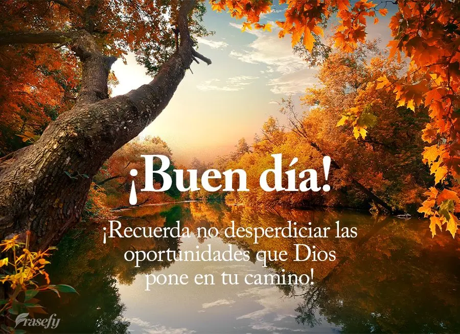 ¡Recuerda no desperdiciar las oportunidades que Dios pone en tu camino! ¡Buen día!