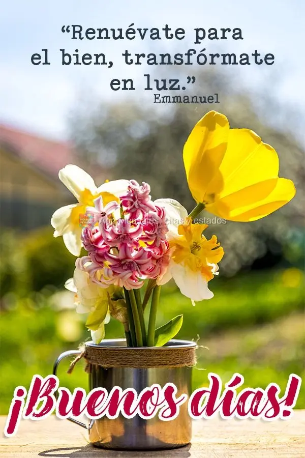 "Renuévate para el bien, transfórmate en luz." ¡Buenos días! Emmanuel 