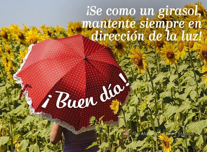 ¡Se como un girasol, mantente siempre en dirección de la luz! ¡Buen día!