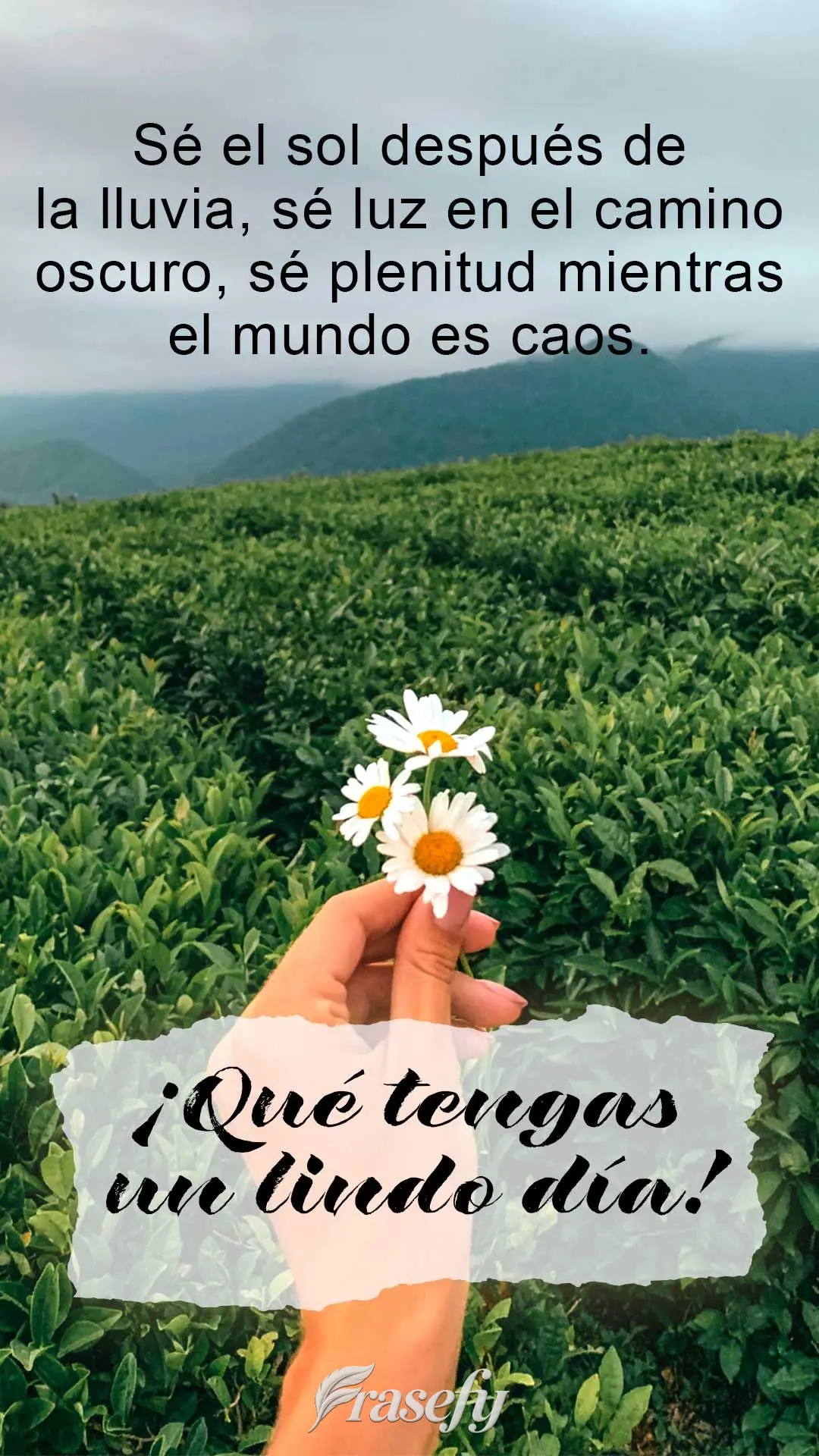 Sé el sol después de la lluvia, sé luz en el camino oscuro, sé plenitud mientras el mundo es caos. ¡Qué tengas un lindo día!