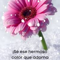 ¡Sé ese hermoso color que adorna la vida con alegría y dulzura! ¡Buen día!