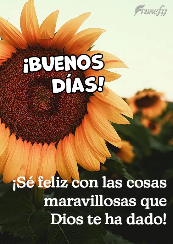 ¡Sé feliz con las cosas maravillosas que Dios te ha dado! ¡Buenos días!