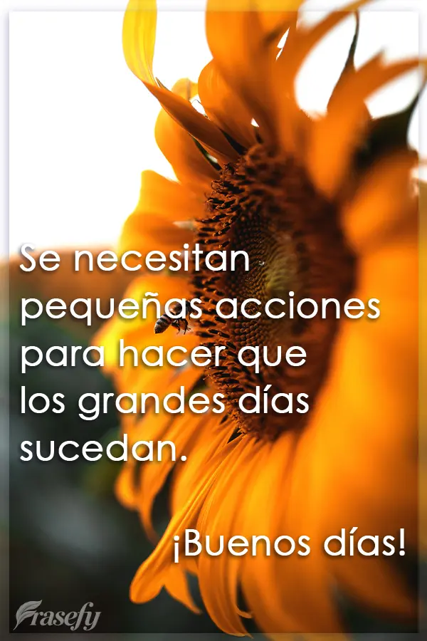 Se necesitan pequeñas acciones para hacer que los grandes días sucedan. ¡Buenos días!