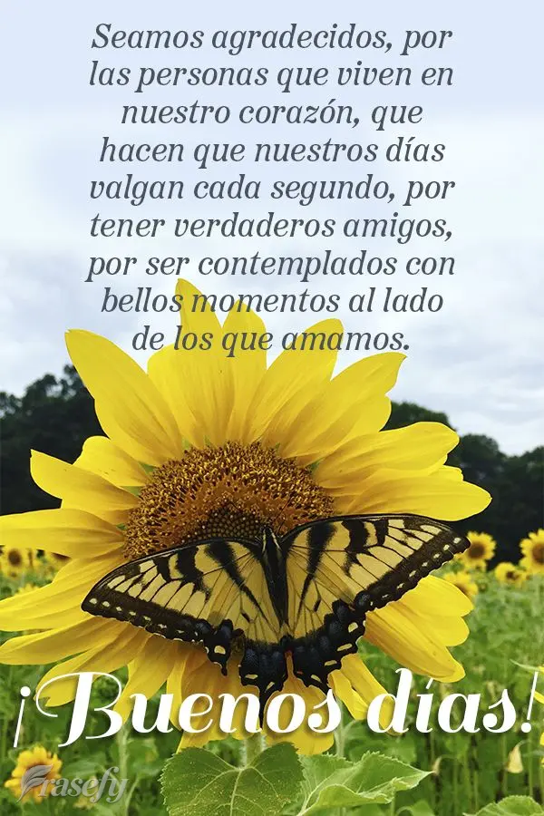 Seamos agradecidos, por las personas que viven en nuestro corazón, que hacen que nuestros días valgan cada segundo, por tener verdaderos amigos, por se...