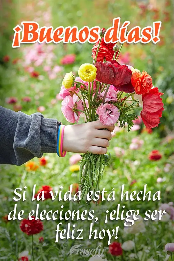 Si la vida está hecha de elecciones, ¡elige ser feliz hoy! ¡Buenos días!