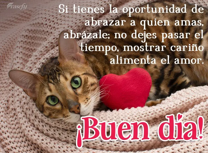 Si tienes la oportunidad de abrazar a quien amas, abrázale; no dejes pasar el tiempo, mostrar cariño alimenta el amor. ¡Buen día!