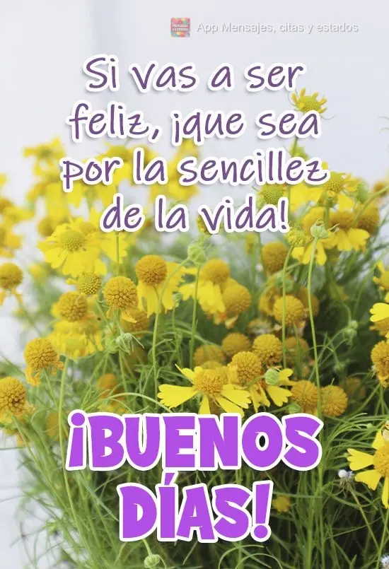 Si vas a ser feliz, ¡que sea por la sencillez de la vida! ¡Buenos días!
