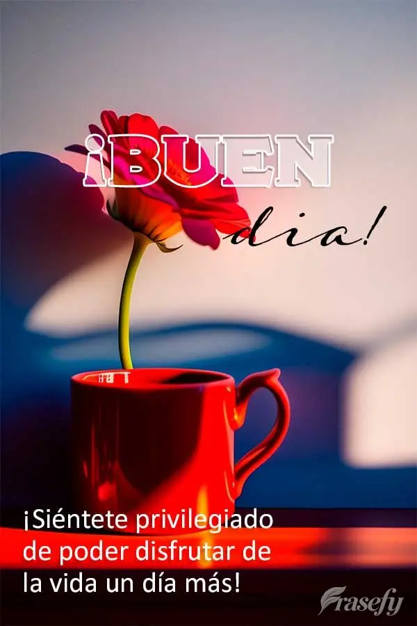 ¡Siéntete privilegiado de poder disfrutar de la vida un día más! ¡Buen día!