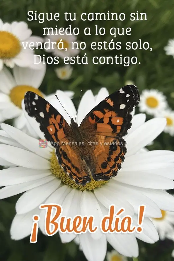 Sigue tu camino sin miedo a lo que vendrá, no estás solo, Dios está contigo. ¡Buen día!