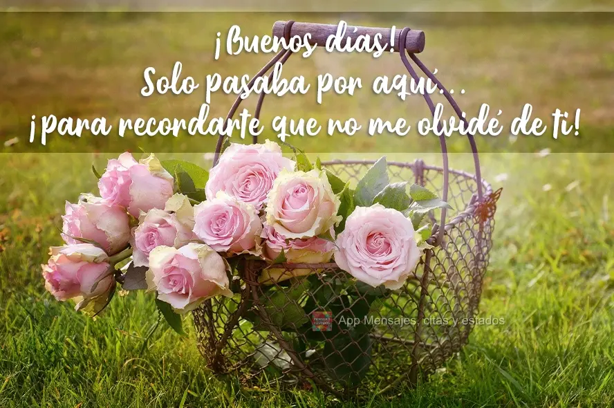 Solo pasaba por aquí... ¡para recordarte que no me olvidé de ti! ¡Buenos días!