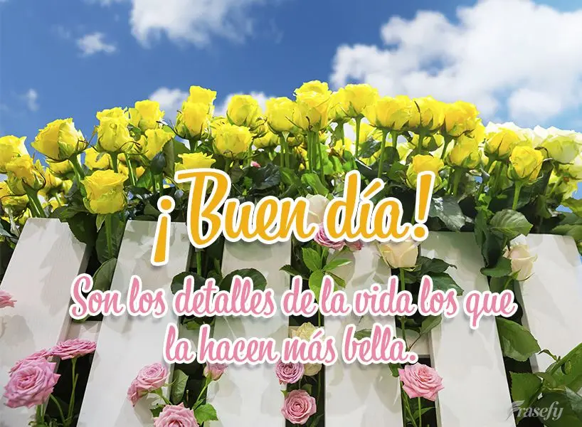 Son los detalles de la vida los que la hacen más bella. ¡Buen día!
