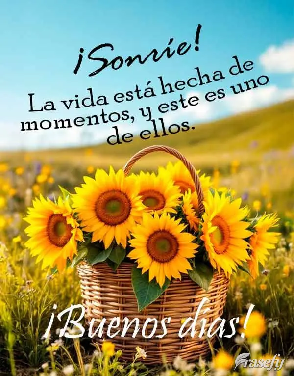 ¡Sonríe! La vida está hecha de momentos, y este es uno de ellos. ¡Buenos días!