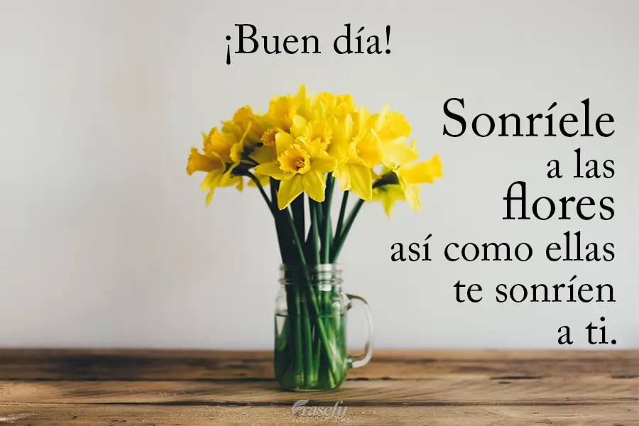 Sonríele a las flores así como ellas te sonríen a ti. ¡Buen día!