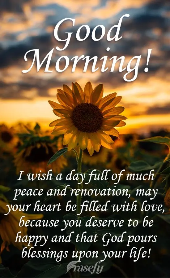 Te deseo un día de paz y renovación, que tu corazón se llene de amor, porque mereces ser feliz; y que sobre tu vida Dios derrame sus bendiciones! ¡Bu...