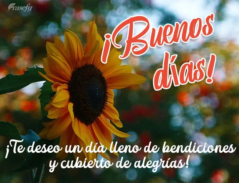 ¡Te deseo un día lleno de bendiciones y cubierto de alegrías! ¡Buenos días!