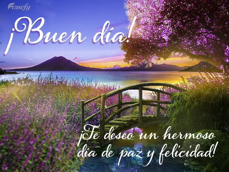 ¡Te deseo un hermoso día de paz y felicidad! ¡Buen día!