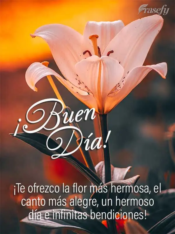 ¡Te ofrezco la flor más hermosa, el canto más alegre, un hermoso día e infinitas bendiciones! ¡Buen día!