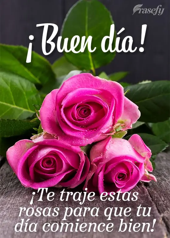 ¡Te traje estas rosas para que tu día comience bien! ¡Buen día!