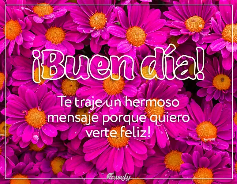 Te traje un hermoso mensaje porque quiero verte feliz! ¡Buen día!