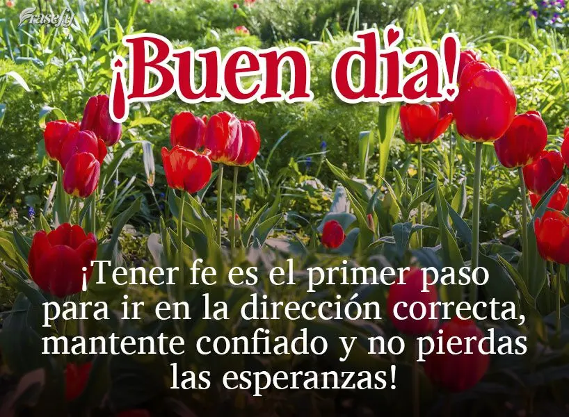 ¡Tener fe es el primer paso para ir en la dirección correcta, mantente confiado y no pierdas las esperanzas! ¡Buen día!