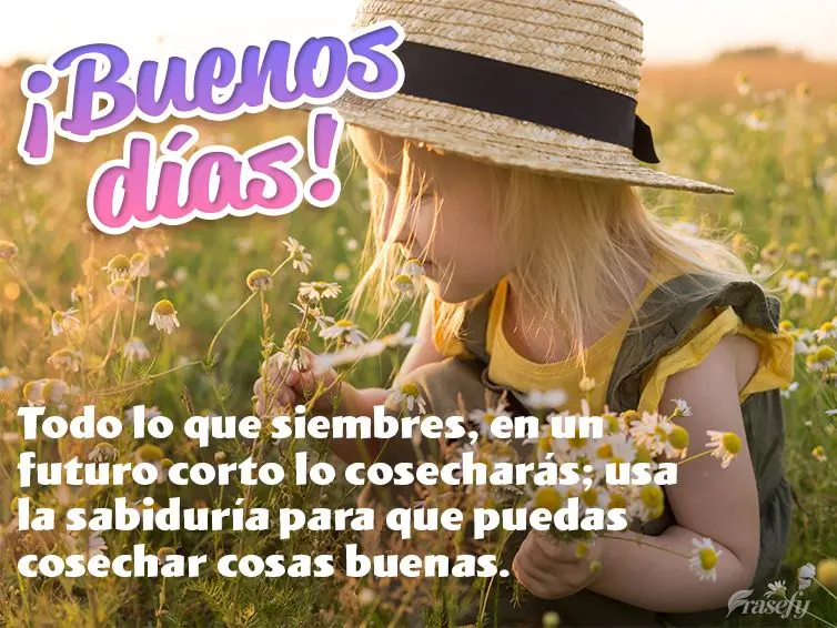 Todo lo que siembres, en un futuro corto lo cosecharás; usa la sabiduría para que puedas cosechar cosas buenas. ¡Buenos días!