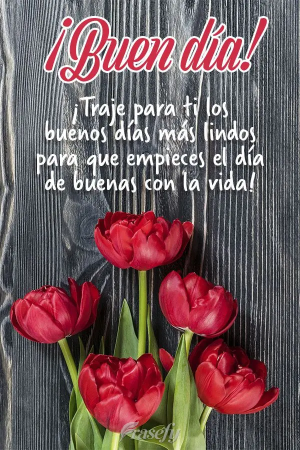 ¡Traje para ti los buenos días más lindos para que empieces el día de buenas con la vida! ¡Buen día!
