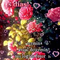 Tu determinación actual determina tus logros futuros. Mantente firme en tu propósito. ¡Buenos días!